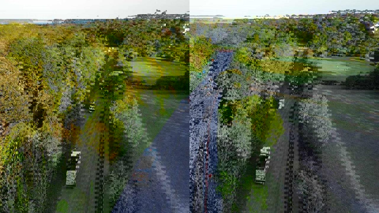 Media (7)