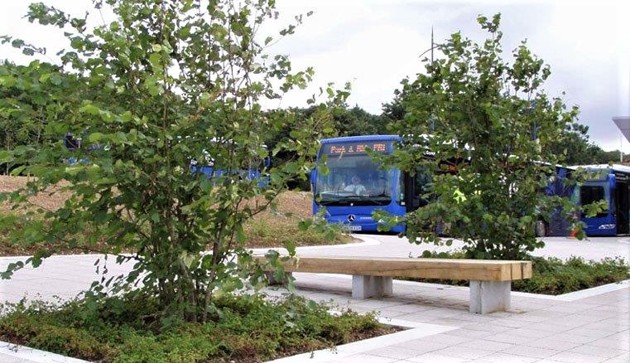 Park And Ride Tree Pits 2
