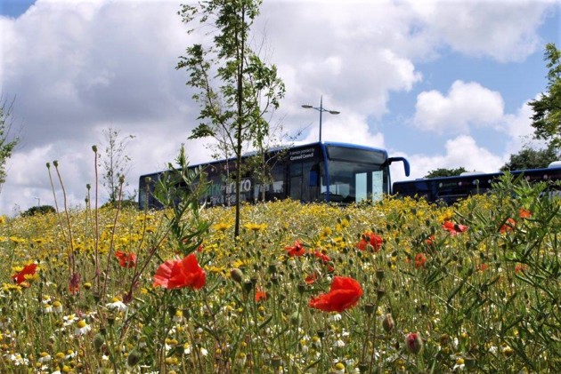 Park And Ride Poppies