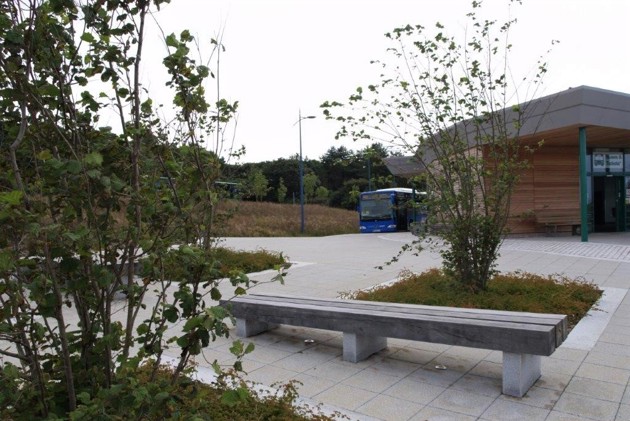 Park And Ride Tree Pits