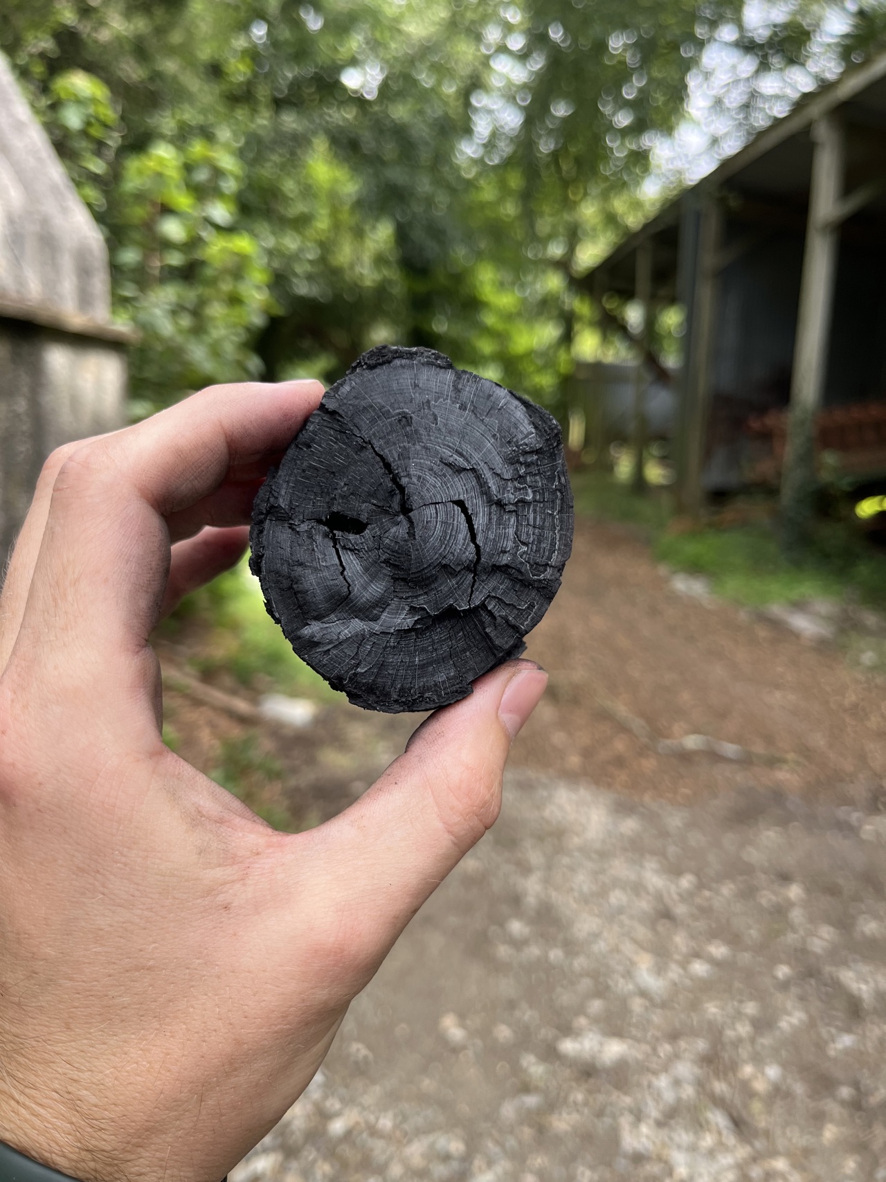 Biochar (2)